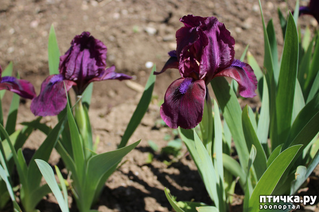 ���� 23: �������� � �����-3