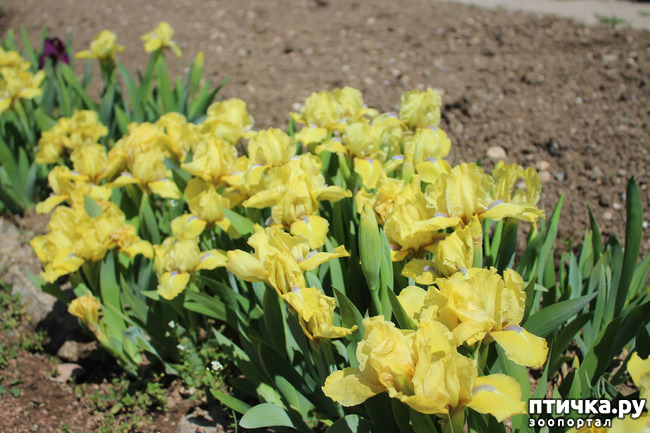 ���� 24: �������� � �����-3