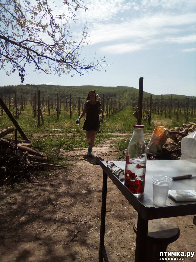 ���� 6: ����� ������ �����...