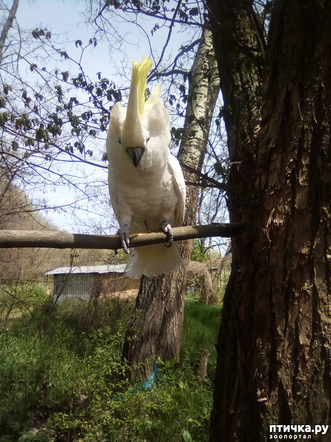 ���� 8: ����� ������ �����...