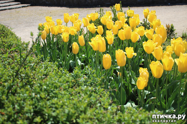 ���� 20: �������� � �����-3