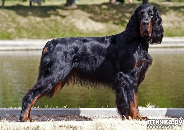 ���� 6: ������ ���� ������-�������