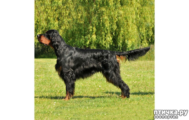 ���� 7: ������ ���� ������-�������