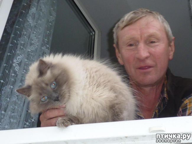 фото 7: А КОШКУ Я ВАМ НЕ ОТДАМ!!!