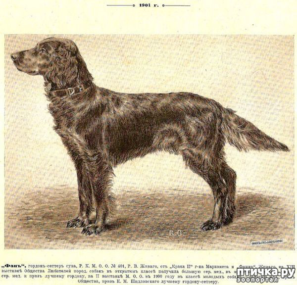 ���� 3: ������ ���� ������-�������