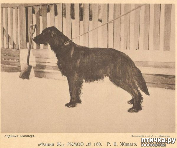 ���� 4: ������ ���� ������-�������