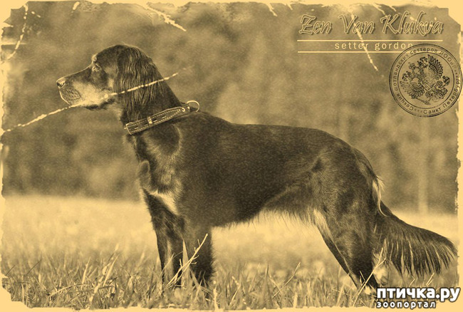 ���� 5: ������ ���� ������-�������