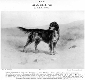 ����: ������ ���� ������-�������