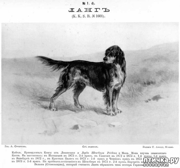 ���� 1: ������ ���� ������-�������