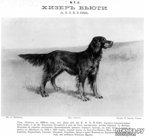 ���� 2: ������ ���� ������-�������