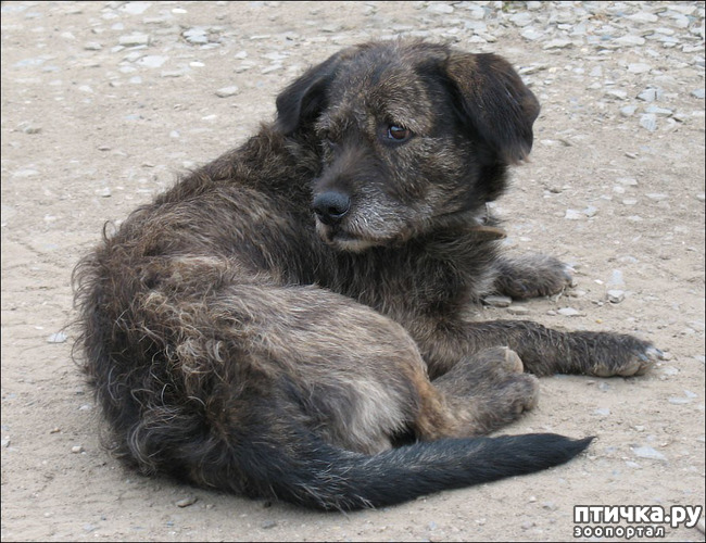 ���� 1: ��������� ��