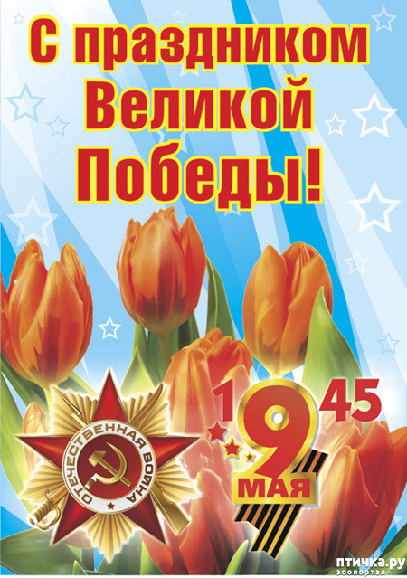 ���� 5: � ���� ������!