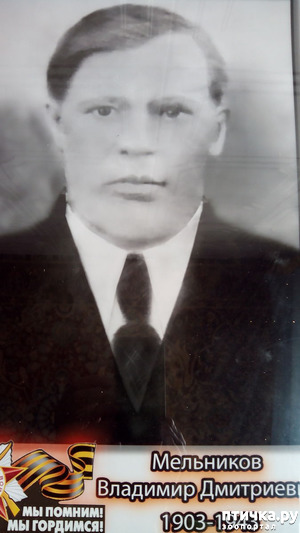 ����: ���