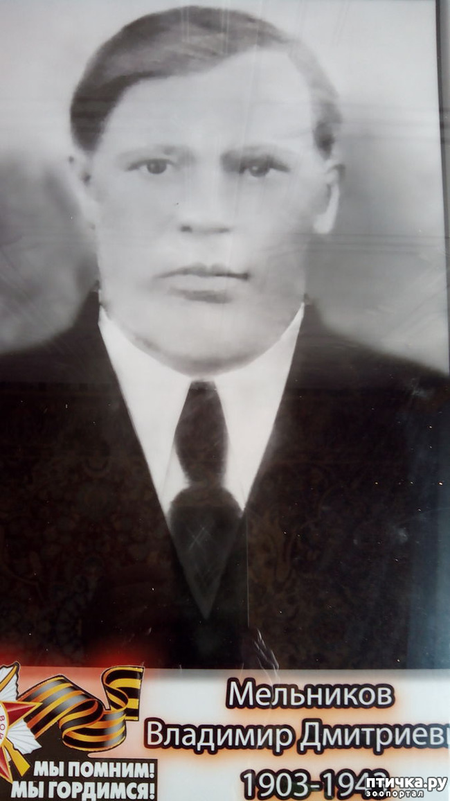 ���� 1: ���