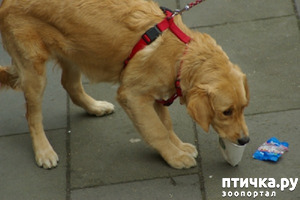 ����: ����� ���������. ������ ��������� �����