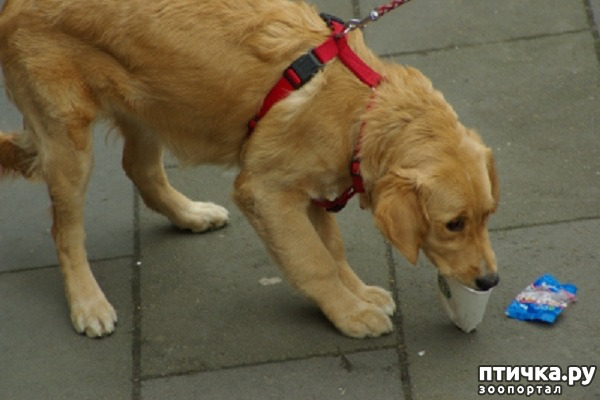 ���� 1: ����� ���������. ������ ��������� �����