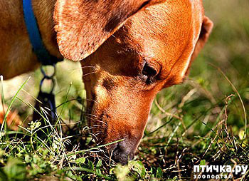 ���� 2: ����� ���������. ������ ��������� �����