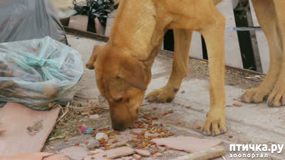 ���� 3: ����� ���������. ������ ��������� �����