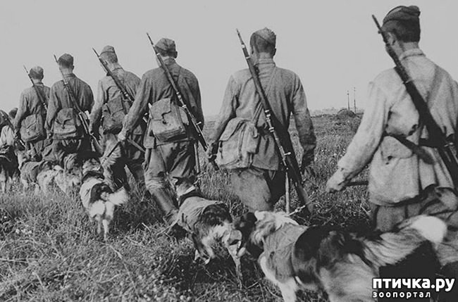 ���� 2: � ������ � ������� �����