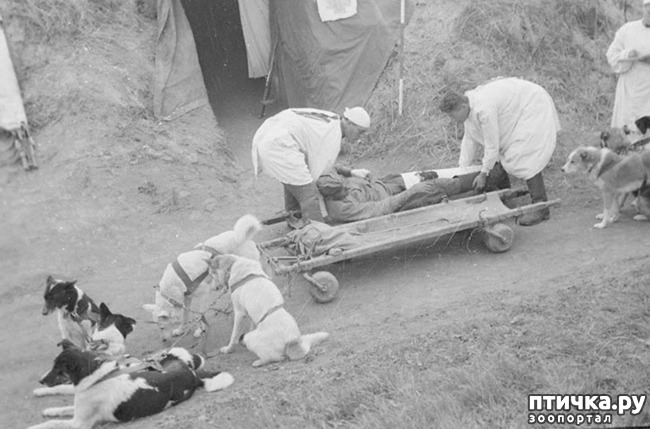 ���� 3: � ������ � ������� �����