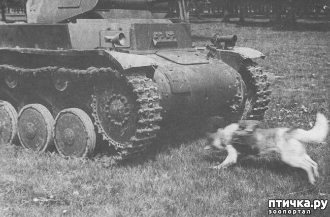 ���� 4: � ������ � ������� �����