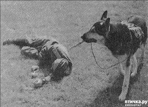 ���� 5: � ������ � ������� �����