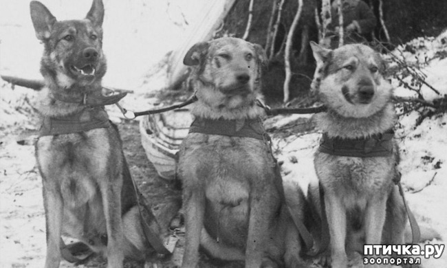 ���� 6: � ������ � ������� �����