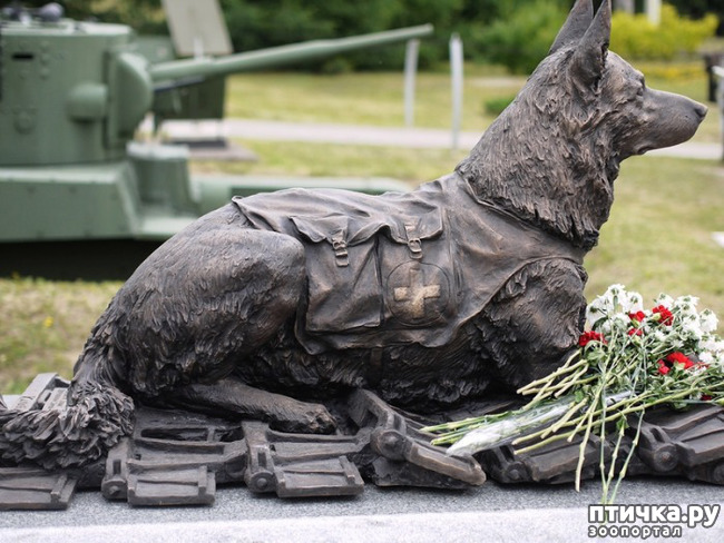 ���� 7: � ������ � ������� �����