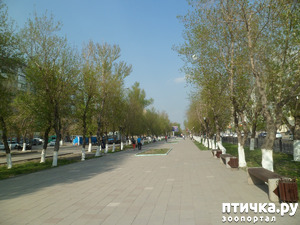 фотография: Из Казахстана с любовью)) фото: Из Казахстана с любовью))