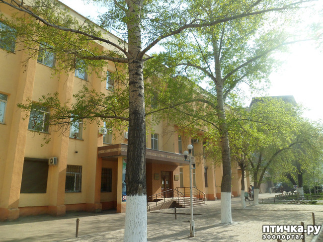 ���� 2: �� ���������� � �������))