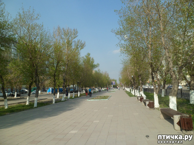 ���� 3: �� ���������� � �������))