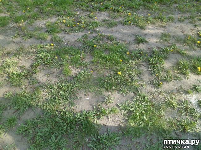 ���� 4: �� ���������� � �������))