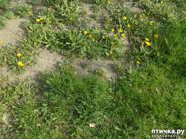 ���� 5: �� ���������� � �������))