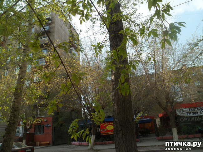 ���� 6: �� ���������� � �������))