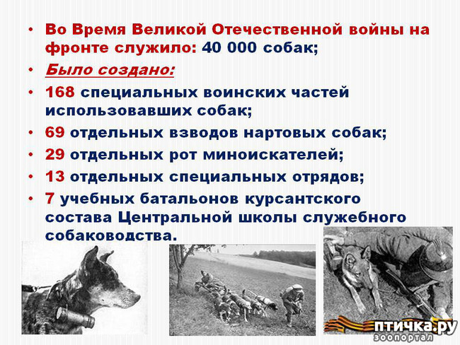 ���� 1: � ������ � ������� �����