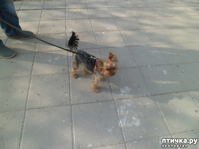 ���� 7: �� ���������� � �������))