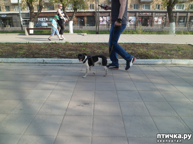 ���� 8: �� ���������� � �������))