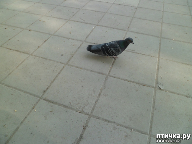 ���� 9: �� ���������� � �������))