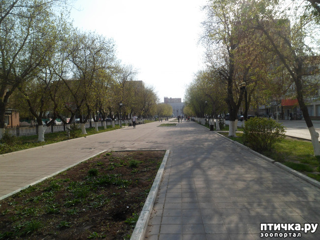 ���� 10: �� ���������� � �������))