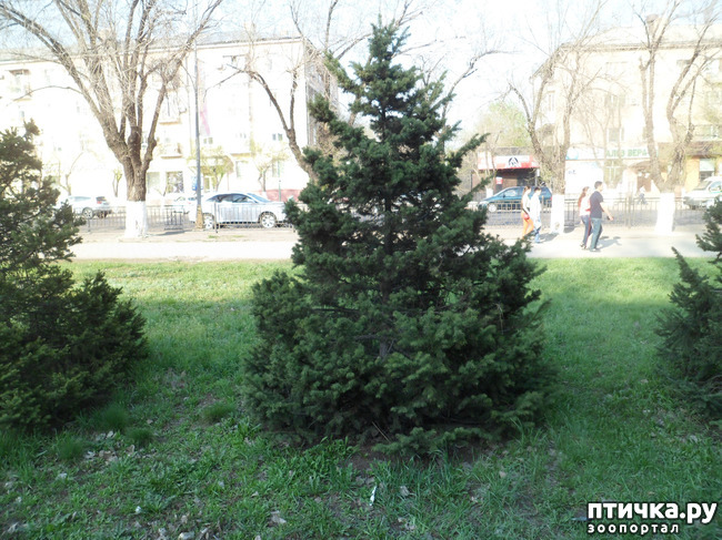 ���� 11: �� ���������� � �������))