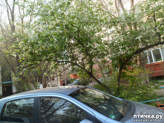 ���� 12: �� ���������� � �������))