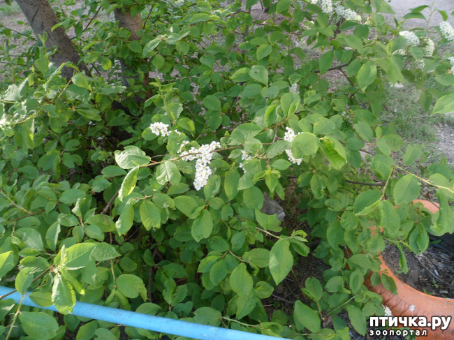 ���� 13: �� ���������� � �������))