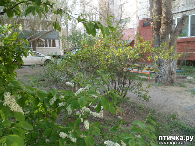 ���� 14: �� ���������� � �������))