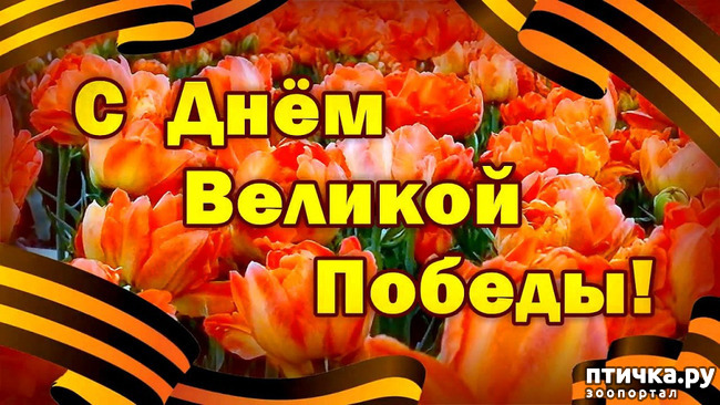 ���� 15: �� ���������� � �������))