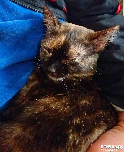 ���� 1: ����� - ������