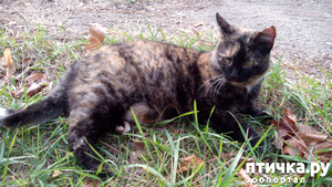 фотография: Привет от Стешеньки фото: Привет от Стешеньки