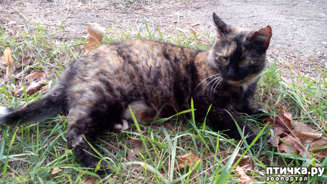 ���� 1: ������ �� ���������