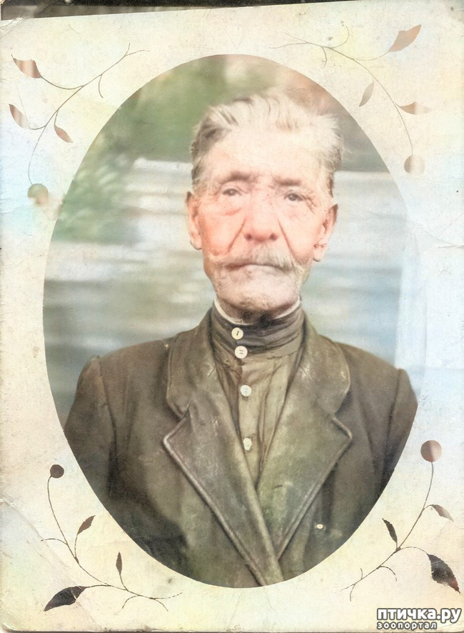 ���� 1: ��� ���������. �������� �������. ���.