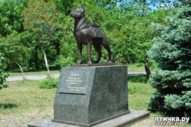 ���� 2: ������ ������� �����������...