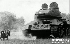 ����: ������ ������� �����������...